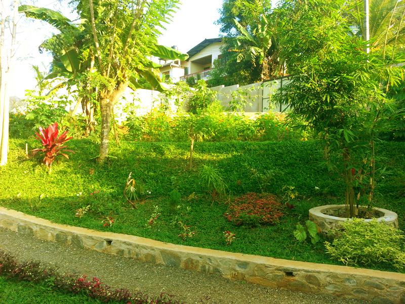 Common Area 2